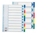 Przekładka czysta maxi A4 mix kolorów 10k [mm:] 225x297 Esselte (15267)