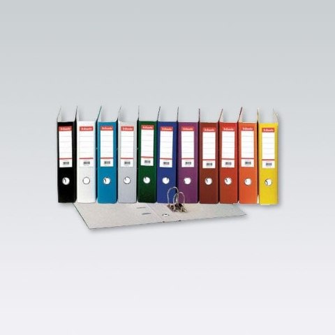 Segregator dźwigniowy Ekonomiczny A4 75mm zielony Esselte (11256)