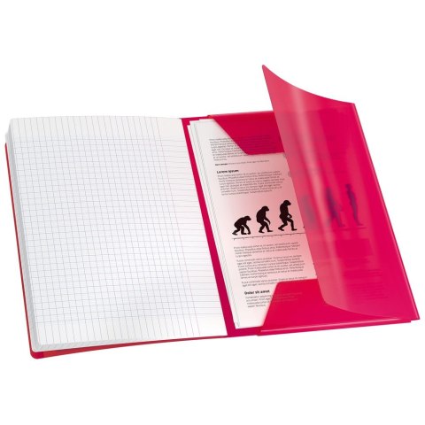 Zeszyt EASYBOOK A5 60k. 90g krata Oxford (400146693)