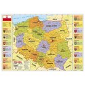 Podkład na biurko Derform Polska mapa mix tektura pokryta folią [mm:] 340x500 (POPA)