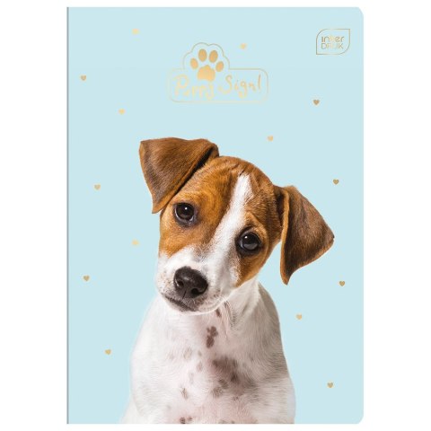 Zeszyt Puppy Sign A5 16k. 70g krata [mm:] 148x210 Interdruk (ZE16#PS)