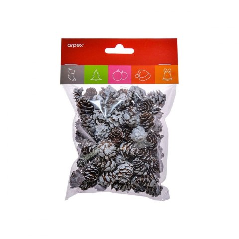 Szyszka ośnieżone Arpex (BN4735)