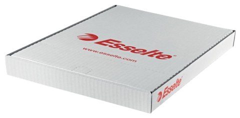 Koszulki na dokumenty krystaliczne A4 kolor: przezroczysty typu U 55 mic. Esselte (56066)