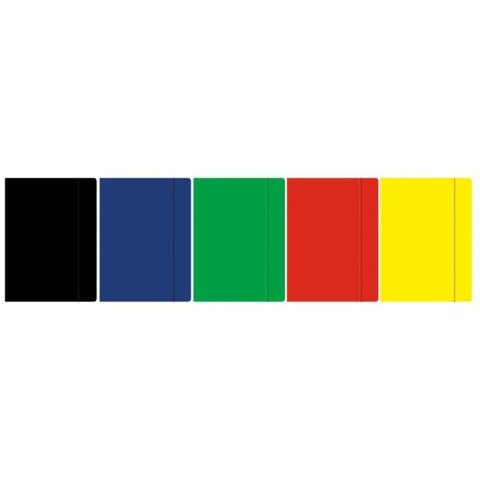 Teczka kartonowa na gumkę A4 mix Rexus (603525)