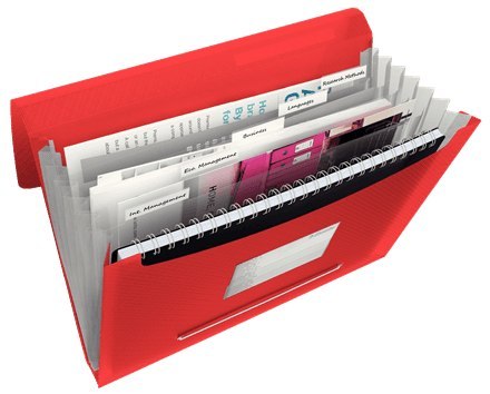 Teczka z przegródkami Vivida A4 kolor: czerwony 6 przegródek [mm:] 330x260 Esselte (624016)
