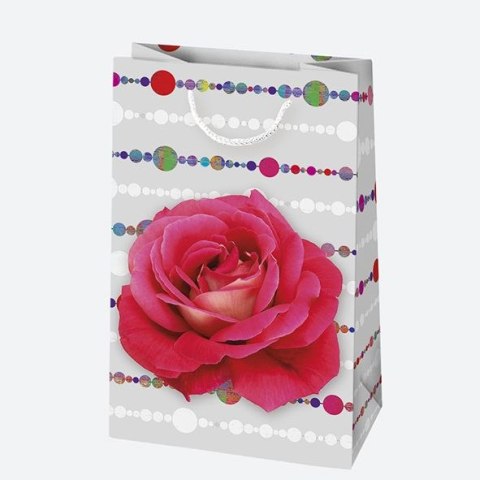 Torba prezentowa [mm:] 100x160x 60 Pol-mak