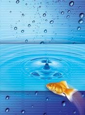 Brulion B5 200k. krata Kreska