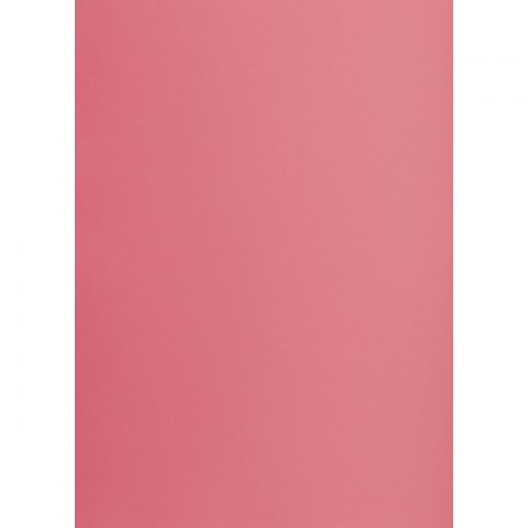 Brystol A1 różowy 160g 25k [mm:] 610x860 TOP-2000 (400149529)