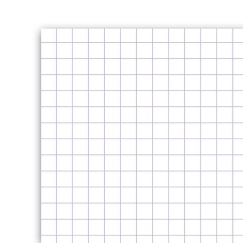 Notes (notatnik) Everyday A5 80k. krata [mm:] 148x210 Oxford (100106280)