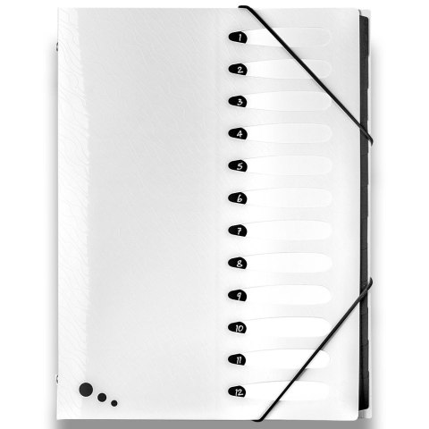 Teczka z przegródkami Art Pop A4 kolor: mix 12 przegródek Elba (400058483)