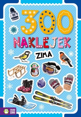 Książeczka edukacyjna 300 naklejek . Zima Zielona Sowa