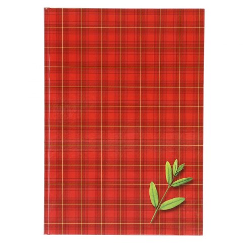 Brulion A4 160k. krata Kreska