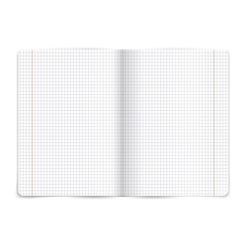 Zeszyt fizyka A5 60k. 80g krata [mm:] 150x210 TOP-2000 (400160589)