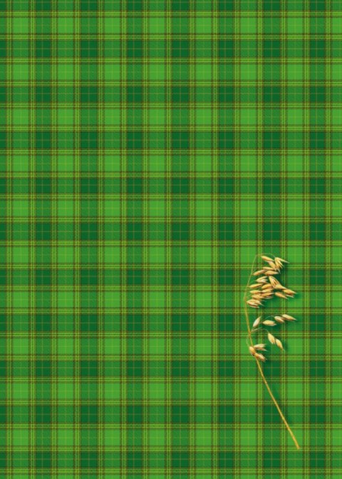 Brulion B5 160k. krata Kreska