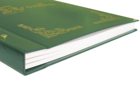 Kronika KRONIKA ZŁOCONA PION mix 100k. [mm:] 250x345 Warta (319-025,026,027,028)