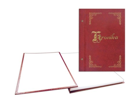 Kronika KRONIKA ZŁOCONA PION mix 100k. [mm:] 250x345 Warta (319-025,026,027,028)