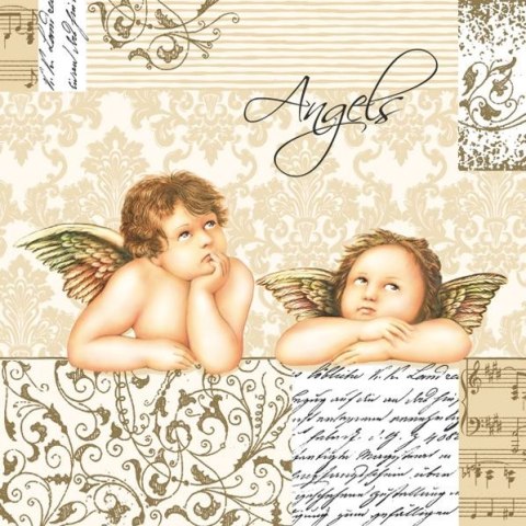 Serwetki mix bibuła [mm:] 330x330 Pol-mak (SL og)