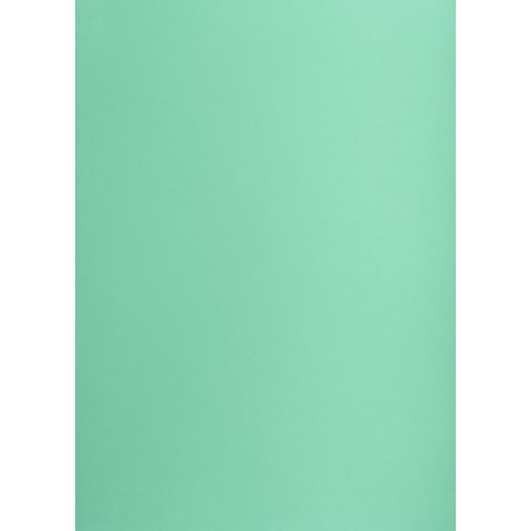 Brystol turkusowy B1 turkusowy 225g 1k Creatinio (400150265)