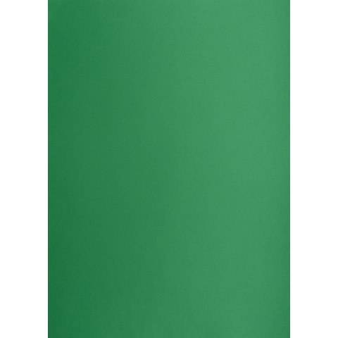 Brystol zielony ciemny B1 zielony ciemny 225g 1k Creatinio (400150269)