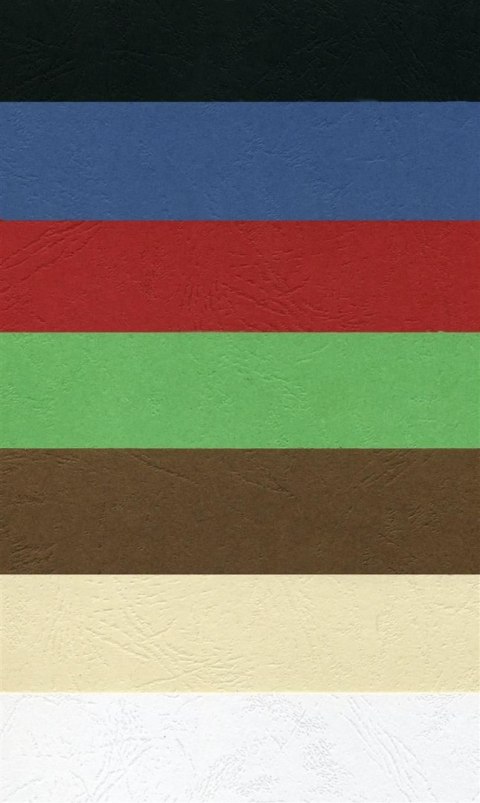 Karton do bindowania A4 biały 250g Argo (407011)