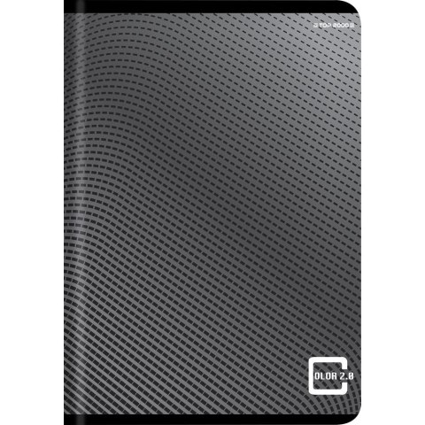 Zeszyt colors mix A6 48k. 70g krata Top 2000 (400169190)