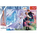 Puzzle Frozen 2 Magiczny świat sióstr 200 el. Trefl (13265)