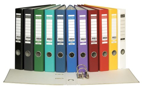 Segregator dźwigniowy Ekologiczny A4 50mm zielony Bantex (100551804)