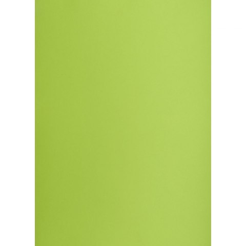 Brystol zielony jasny B1 zielony jasny 225g 1k Creatinio (400150267)