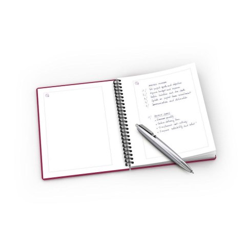 Kołozeszyt (kołonotatnik) Beauty A5+ 60k. 90g krata Oxford (400040559)