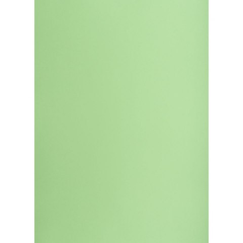 Brystol groszkowy B1 groszkowy 225g 1k Creatinio (400150266)