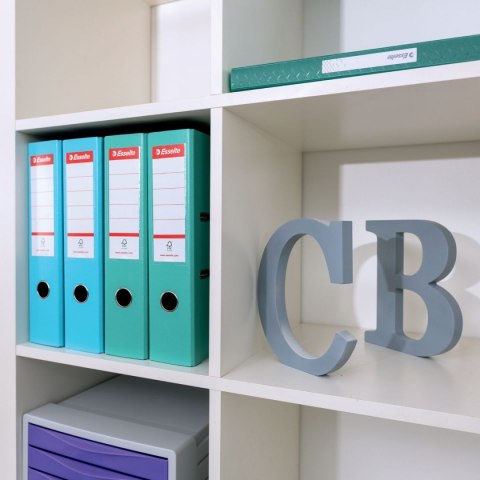 Segregator dźwigniowy No.1 Colour Breeze A4 75mm koralowy Esselte (628431)