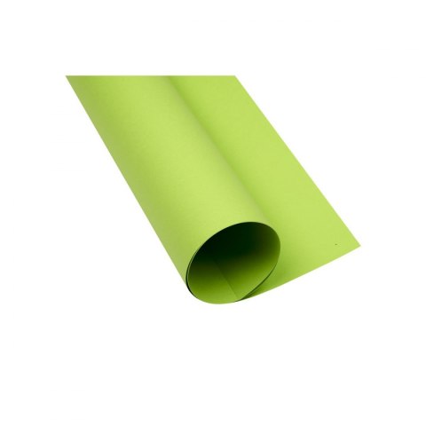 Brystol A1 jasnozielony 160g 25k [mm:] 610x860 TOP-2000 (400149557)