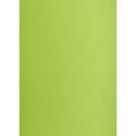 Brystol A1 jasnozielony 160g 25k [mm:] 610x860 TOP-2000 (400149557)