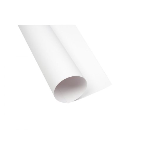 Brystol A1 biały 160g [mm:] 610x860 TOP-2000 (400149520)