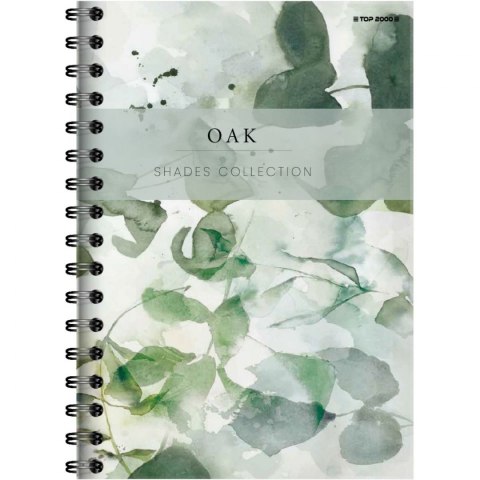 Kołozeszyt (kołonotatnik) SHADES B5 120k. 70g krata TOP-2000 (400158939)