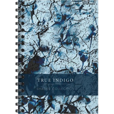 Kołozeszyt (kołonotatnik) SHADES B5 120k. 70g krata TOP-2000 (400158939)