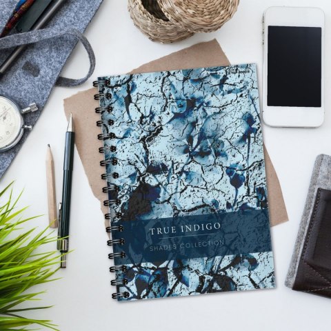 Kołozeszyt (kołonotatnik) SHADES B5 120k. 70g krata TOP-2000 (400158939)