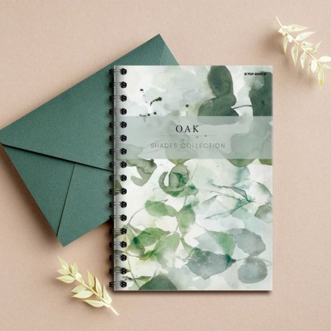 Kołozeszyt (kołonotatnik) SHADES B5 120k. 70g krata TOP-2000 (400158939)