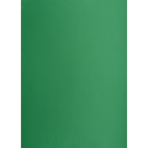 Brystol A1 ciemnozielony 160g [mm:] 610x860 Creatinio (400149561)