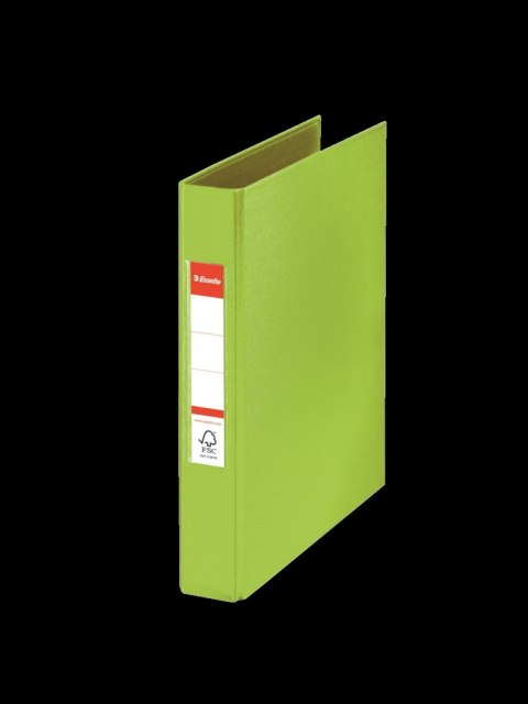 Segregator dźwigniowy A5 42mm zielony Esselte (47686)