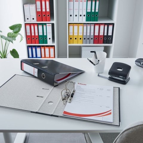 Segregator dźwigniowy Ekonomiczny A4 75mm bordowy Esselte (11276)