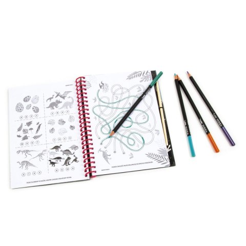 Książka dla dzieci DINOZAUR 17 Derform (NKWDN17)