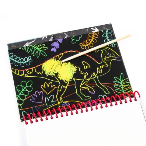 Książka dla dzieci DINOZAUR 17 Derform (NKWDN17)