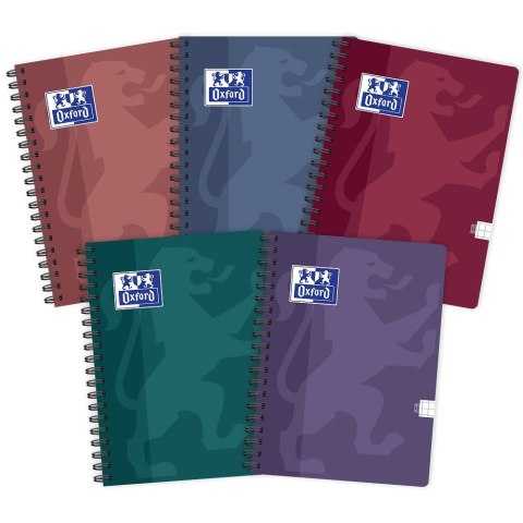 Notes (notatnik) TOUCH TREND B5 100k. krata Oxford (400175460)