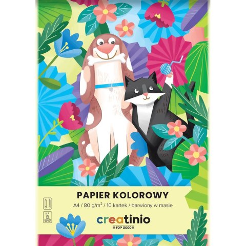 Papier kolorowy A4 Creatinio mix 100k. 80g Top 2000 (400176684)