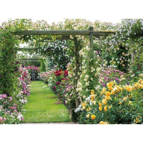 Kalendarz ścienny OGRODY RAJSKIE 13-planszowe 2024 320mm x 470mm Lucrum (RW11)