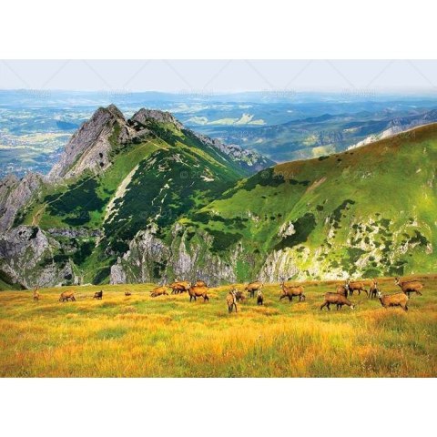 Kalendarz ścienny PEJZAŻE TATRZAŃSKIE 13-planszowe 2024 320mm x 470mm Lucrum (RW05)