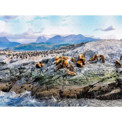 Kalendarz ścienny PODRÓŻE PO KONTYNENTACH 13-planszowe 2024 320mm x 470mm Lucrum (RW09)