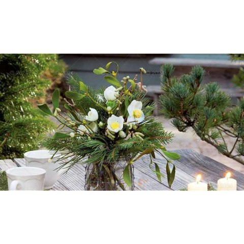 Kalendarz ścienny notatnikowy 2024 KOMPOZYCJA KWIATOWE 220mm x 490mm Lucrum (WN02)