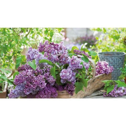 Kalendarz ścienny notatnikowy 2024 KOMPOZYCJA KWIATOWE 220mm x 490mm Lucrum (WN02)